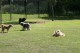 Thumbs/tn_Bild 070.jpg